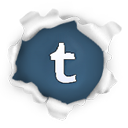 go to my tumblr